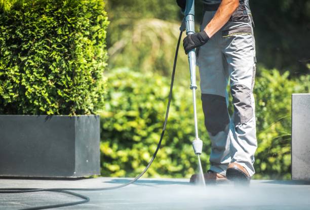 Best Sidewalk and Walkway Cleaning  in Macclenny, FL