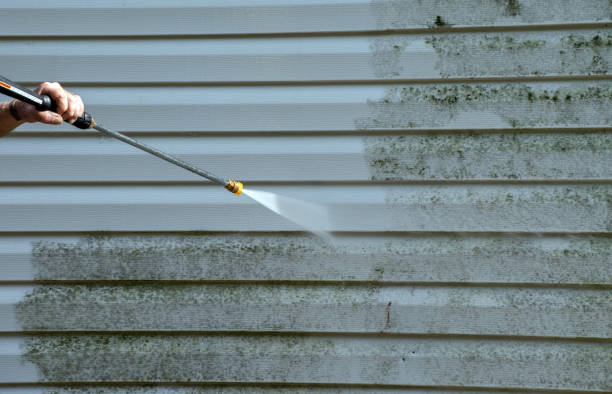 Best Building Exterior Washing  in Macclenny, FL
