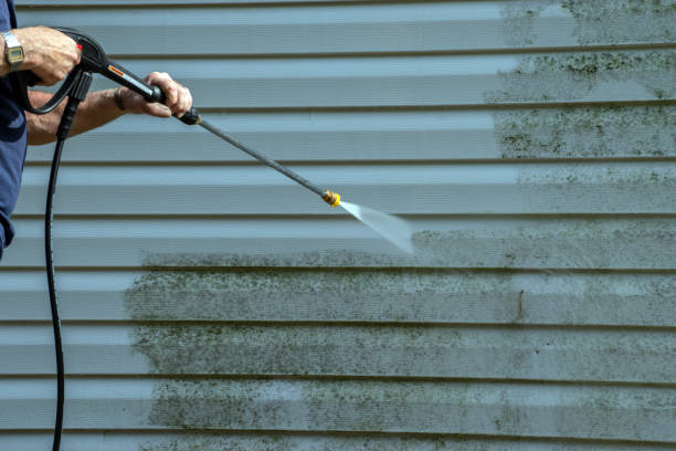Best Sidewalk and Walkway Cleaning  in Macclenny, FL