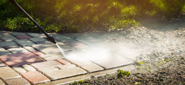 Best Fence Cleaning  in Macclenny, FL